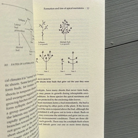 1984 The Growing Tree Forestry Student Tree Arborist Woods Forest Biology Nature - Picture 2 of 8